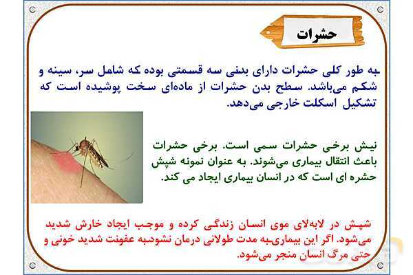 پاورپوینت علوم تجربی چهارم دبستان | درس 11: بیمهرهها- پیش نمایش