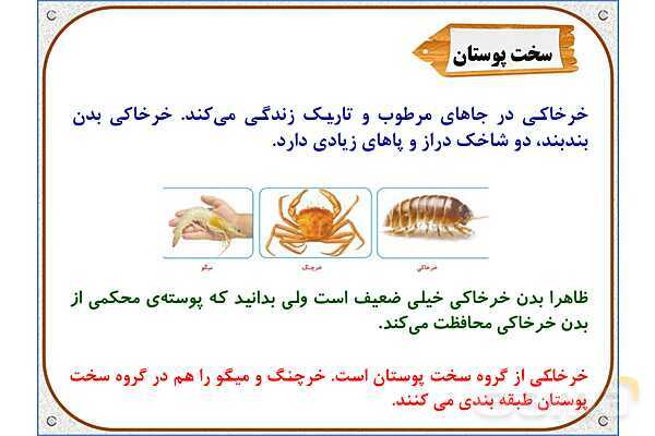 پاورپوینت علوم تجربی چهارم دبستان | درس 11: بیمهرهها- پیش نمایش
