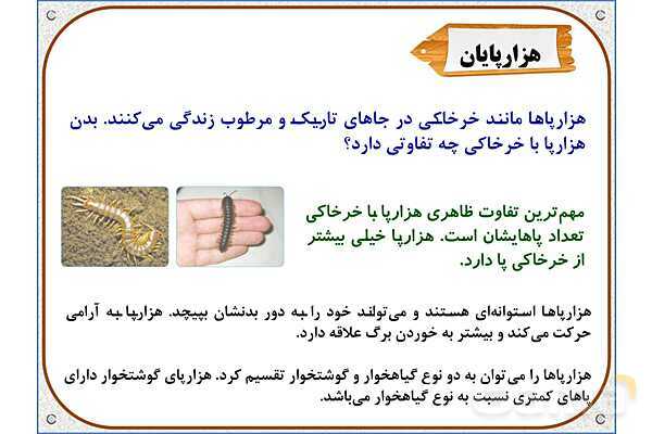 پاورپوینت علوم تجربی چهارم دبستان | درس 11: بیمهرهها- پیش نمایش