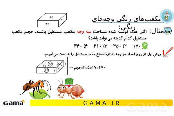 جمعبندی هوش تحلیلی بخش چهارم (حرکت مورچه روی یک مسیر - مکعب های رنگی)- پیش نمایش