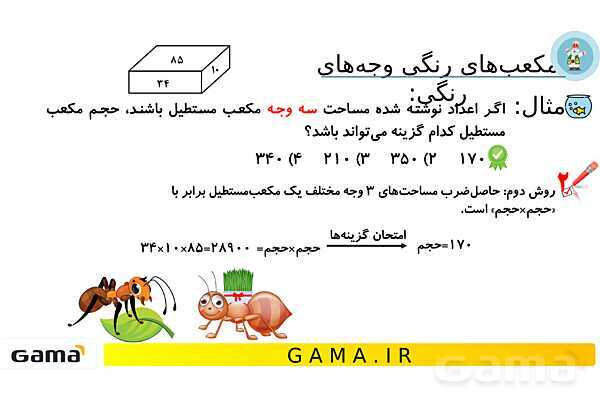 جمعبندی هوش تحلیلی بخش چهارم (حرکت مورچه روی یک مسیر - مکعب های رنگی)- پیش نمایش