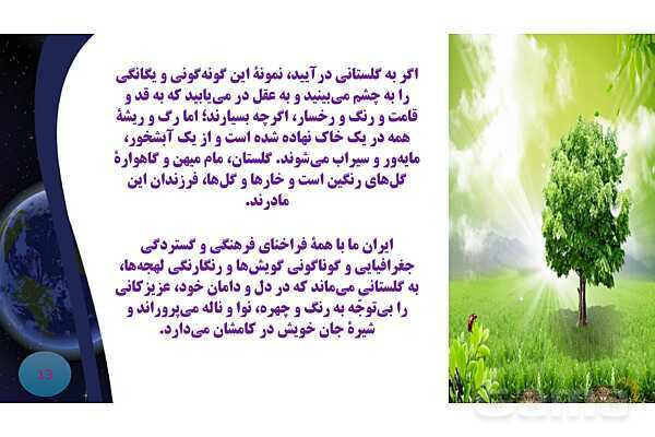 پاورپوینت معنی و آرایه های درس 8 فارسی نهم؛ هم زیستی با مام میهن- پیش نمایش