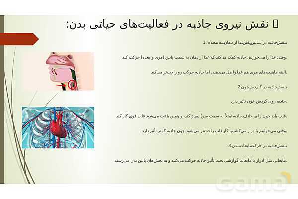 پاورپوینت کنفرانس انرژی و انواع آن- پیش نمایش