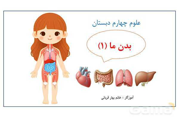 پاورپوینت سلول، ساختار سلول و تقسیم سلول | علوم چهارم- پیش نمایش