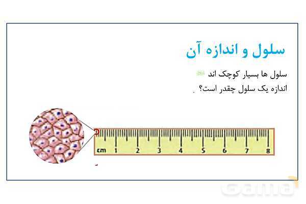 پاورپوینت سلول، ساختار سلول و تقسیم سلول | علوم چهارم- پیش نمایش