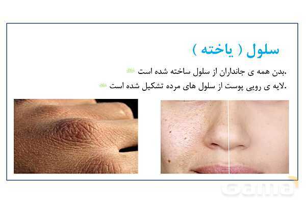 پاورپوینت سلول، ساختار سلول و تقسیم سلول | علوم چهارم- پیش نمایش