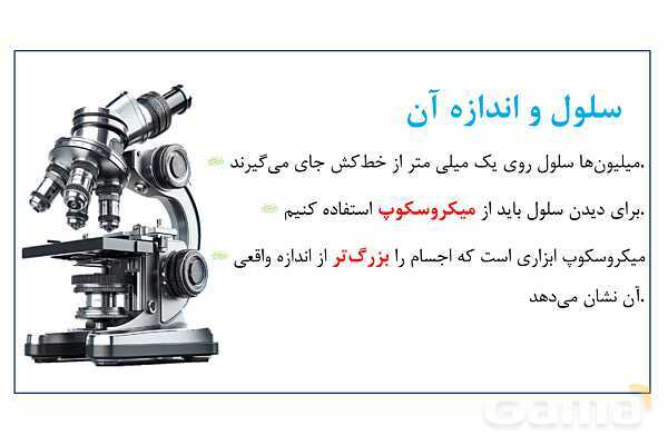پاورپوینت سلول، ساختار سلول و تقسیم سلول | علوم چهارم- پیش نمایش