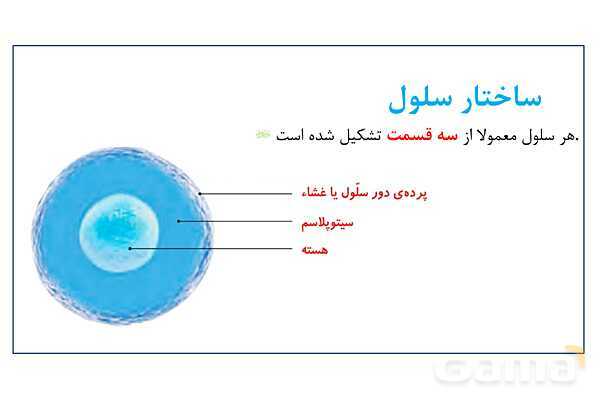 پاورپوینت سلول، ساختار سلول و تقسیم سلول | علوم چهارم- پیش نمایش