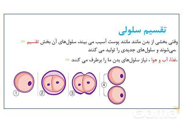 پاورپوینت سلول، ساختار سلول و تقسیم سلول | علوم چهارم- پیش نمایش
