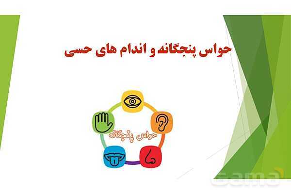 پاورپوینت کنفرانس حواس پنجگانه و اندامهای حسی- پیش نمایش
