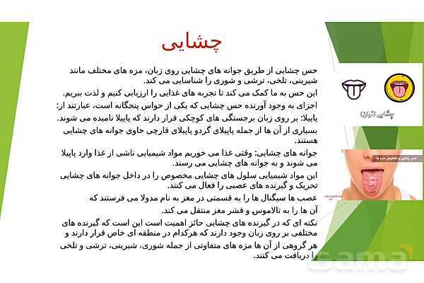 پاورپوینت کنفرانس حواس پنجگانه و اندامهای حسی- پیش نمایش