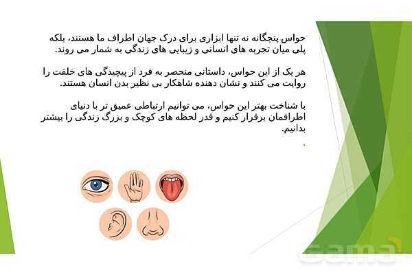 پاورپوینت کنفرانس حواس پنجگانه و اندامهای حسی- پیش نمایش