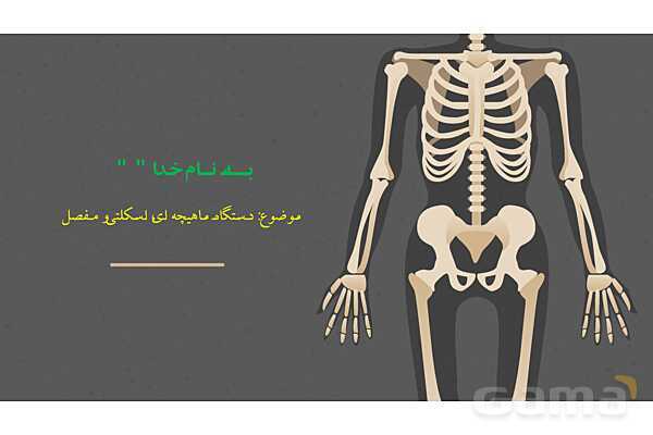 پاورپوینت کنفرانس دستگاه ماهیچه ای، اسکلتی و مفصل- پیش نمایش