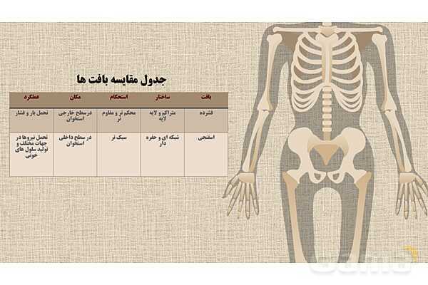 پاورپوینت کنفرانس دستگاه ماهیچه ای، اسکلتی و مفصل- پیش نمایش