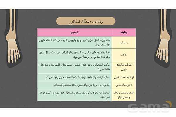 پاورپوینت کنفرانس دستگاه ماهیچه ای، اسکلتی و مفصل- پیش نمایش