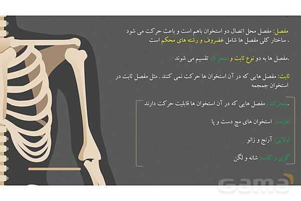 پاورپوینت کنفرانس دستگاه ماهیچه ای، اسکلتی و مفصل- پیش نمایش