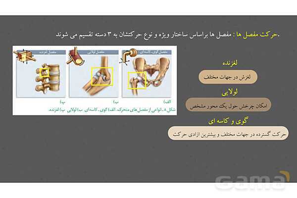 پاورپوینت کنفرانس دستگاه ماهیچه ای، اسکلتی و مفصل- پیش نمایش
