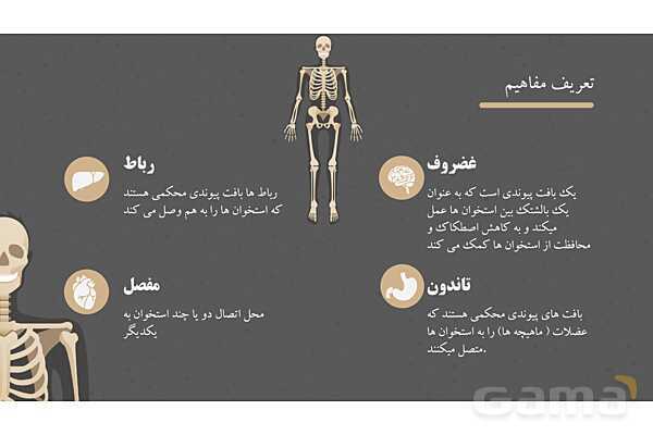 پاورپوینت کنفرانس دستگاه ماهیچه ای، اسکلتی و مفصل- پیش نمایش