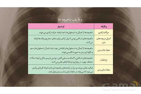پاورپوینت کنفرانس دستگاه ماهیچه ای، اسکلتی و مفصل- پیش نمایش