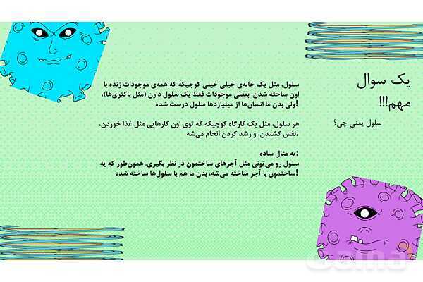 پاورپوینت کنفرانس میکروب، باکتری، ویروس و انگل - پیش نمایش