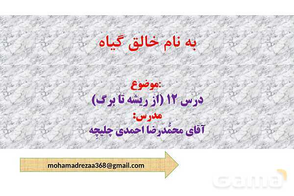 پاورپوینت تدریس درس 12: از ریشه تا برگ- پیش نمایش