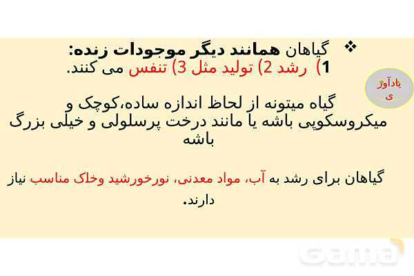 پاورپوینت تدریس درس 12: از ریشه تا برگ- پیش نمایش