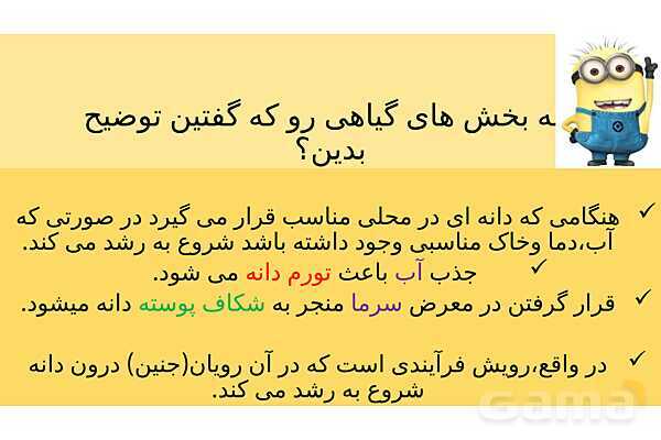 پاورپوینت تدریس درس 12: از ریشه تا برگ- پیش نمایش