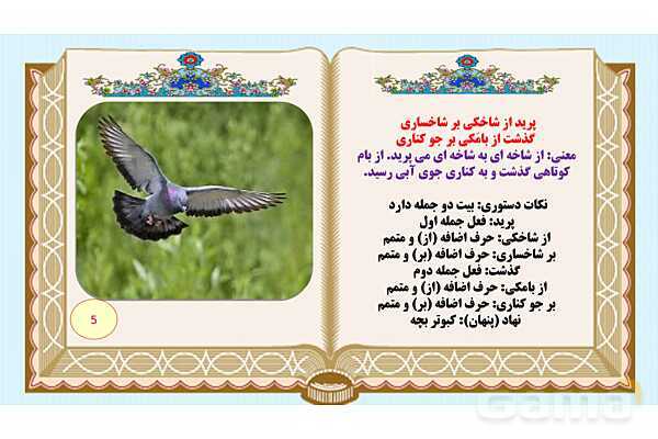 پاورپوینت درس 7 فارسی هفتم: علم زندگانی- پیش نمایش