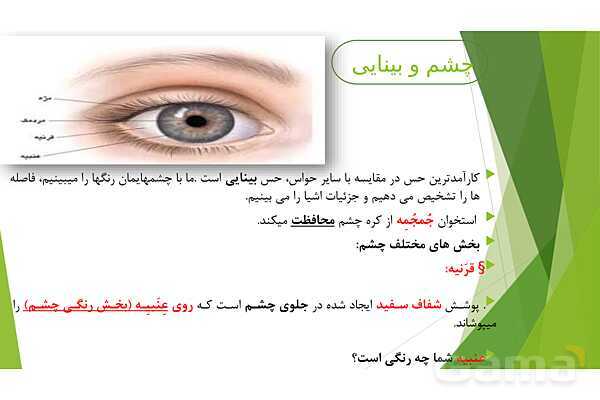 پاورپوینت تدریس درس 6: حس بینایی- پیش نمایش