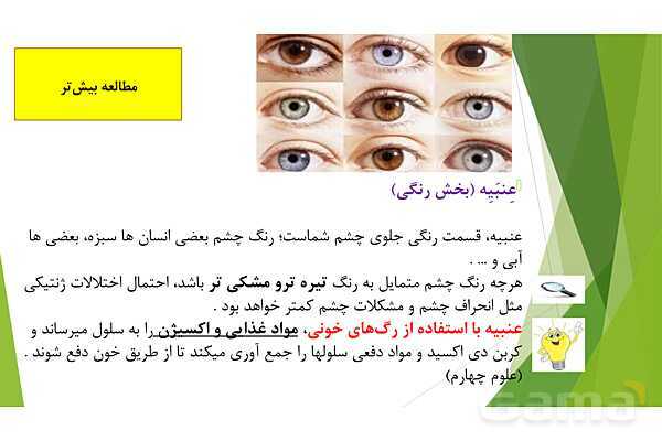 پاورپوینت تدریس درس 6: حس بینایی- پیش نمایش