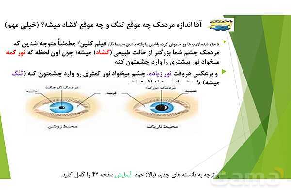 پاورپوینت تدریس درس 6: حس بینایی- پیش نمایش