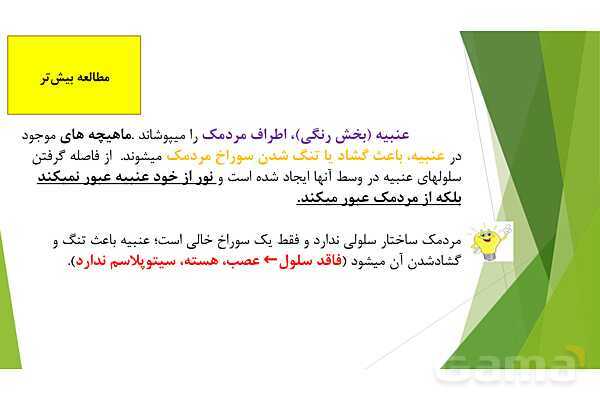 پاورپوینت تدریس درس 6: حس بینایی- پیش نمایش