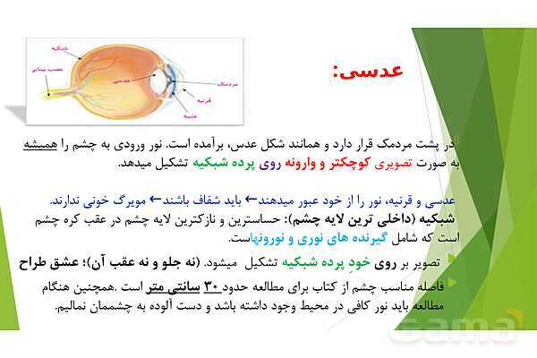 پاورپوینت تدریس درس 6: حس بینایی- پیش نمایش