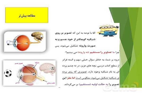 پاورپوینت تدریس درس 6: حس بینایی- پیش نمایش