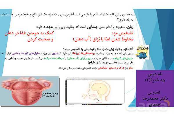 پاورپوینت تدریس درس 7: حس چشایی، بویایی و لامسه- پیش نمایش