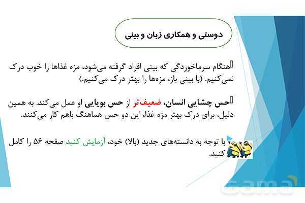 پاورپوینت تدریس درس 7: حس چشایی، بویایی و لامسه- پیش نمایش