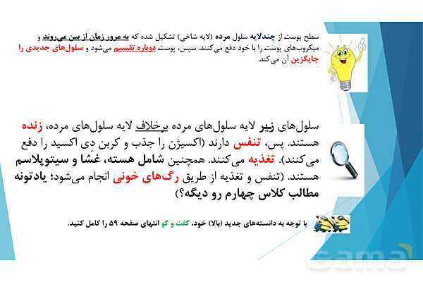 پاورپوینت تدریس درس 7: حس چشایی، بویایی و لامسه- پیش نمایش