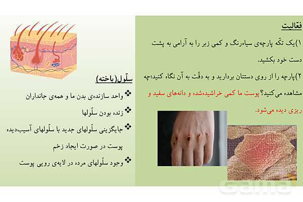 پاورپوینت آموزش درس 9 علوم تجربی پایه‌ی چهارم: بدن ما 1- پیش نمایش
