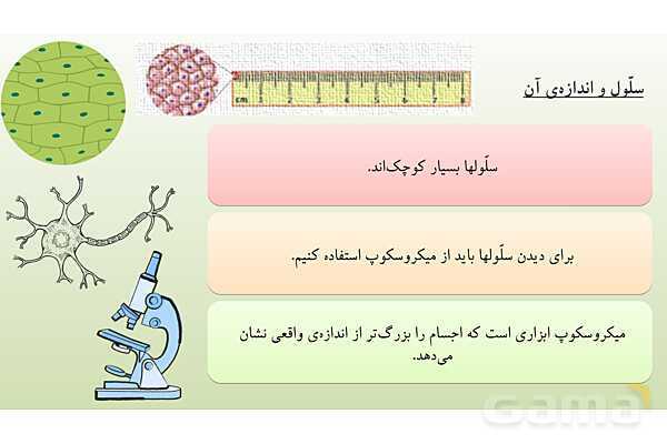 پاورپوینت آموزش درس 9 علوم تجربی پایه‌ی چهارم: بدن ما 1- پیش نمایش