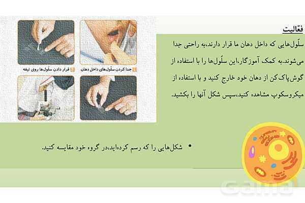 پاورپوینت آموزش درس 9 علوم تجربی پایه‌ی چهارم: بدن ما 1- پیش نمایش