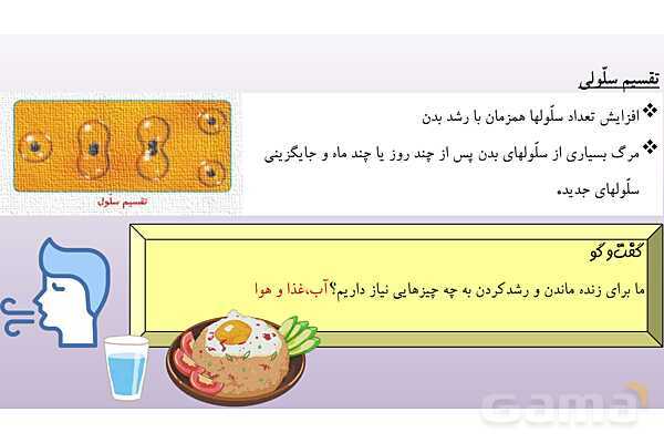 پاورپوینت آموزش درس 9 علوم تجربی پایه‌ی چهارم: بدن ما 1- پیش نمایش
