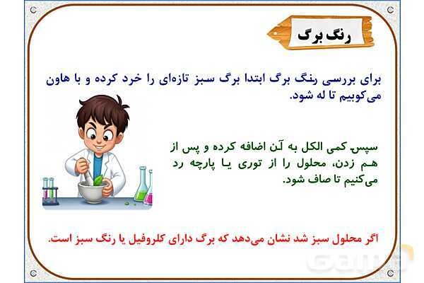 پاورپوینت علوم تجربی پایه ششم | درس 11: شگفتیهای برگ- پیش نمایش