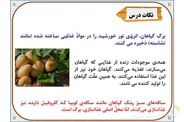 پاورپوینت علوم تجربی پایه ششم | درس 11: شگفتیهای برگ- پیش نمایش