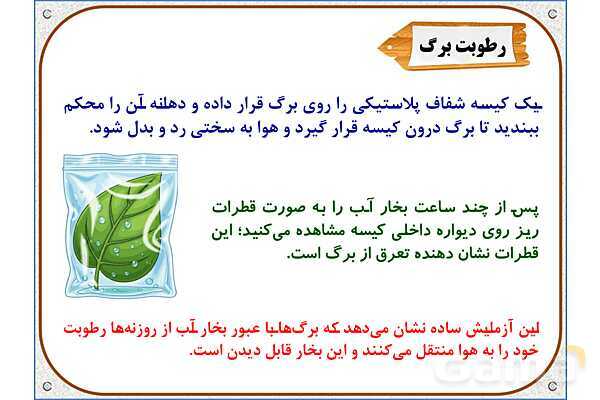 پاورپوینت علوم تجربی پایه ششم | درس 11: شگفتیهای برگ- پیش نمایش