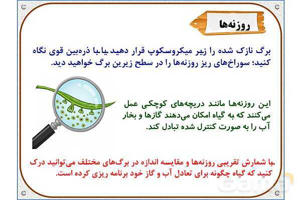 پاورپوینت علوم تجربی پایه ششم | درس 11: شگفتیهای برگ- پیش نمایش