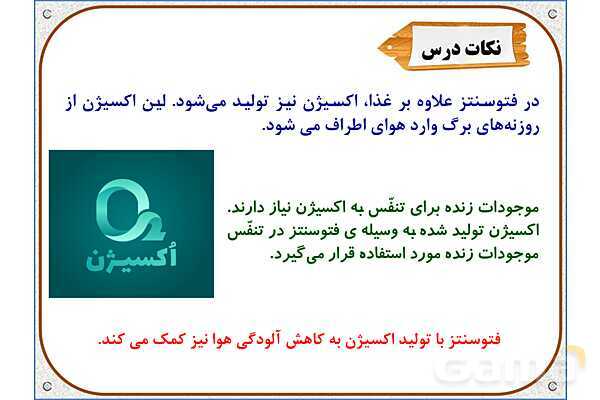 پاورپوینت علوم تجربی پایه ششم | درس 11: شگفتیهای برگ- پیش نمایش