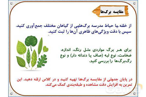 پاورپوینت علوم تجربی پایه ششم | درس 11: شگفتیهای برگ- پیش نمایش