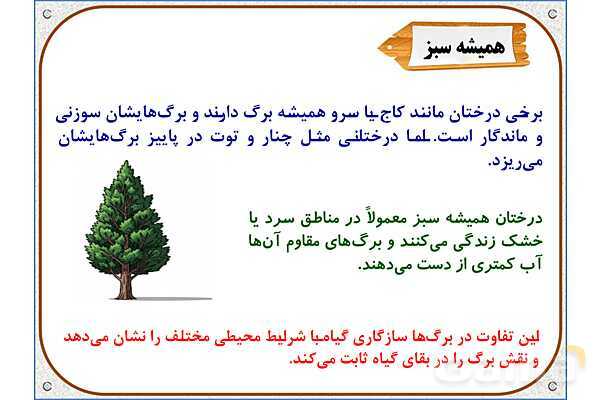 پاورپوینت علوم تجربی پایه ششم | درس 11: شگفتیهای برگ- پیش نمایش