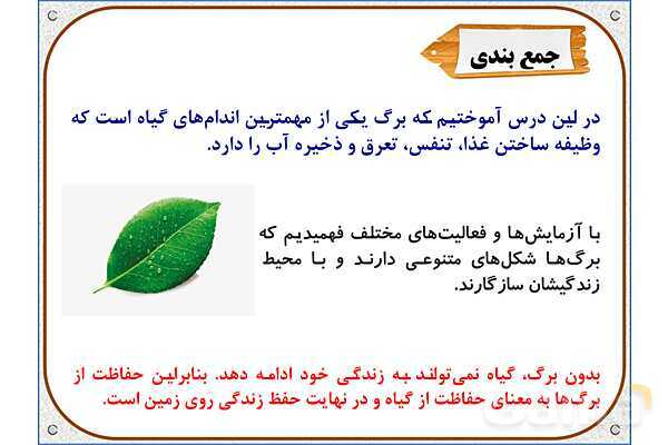 پاورپوینت علوم تجربی پایه ششم | درس 11: شگفتیهای برگ- پیش نمایش