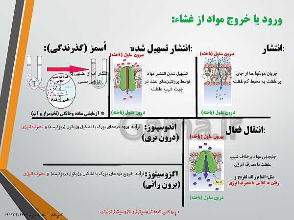 پاورپوینت گفتار 3 از فصل اول زیست شناسی دهم تجربی | سلول (یاخته) و بافت در بدن انسان- پیش نمایش